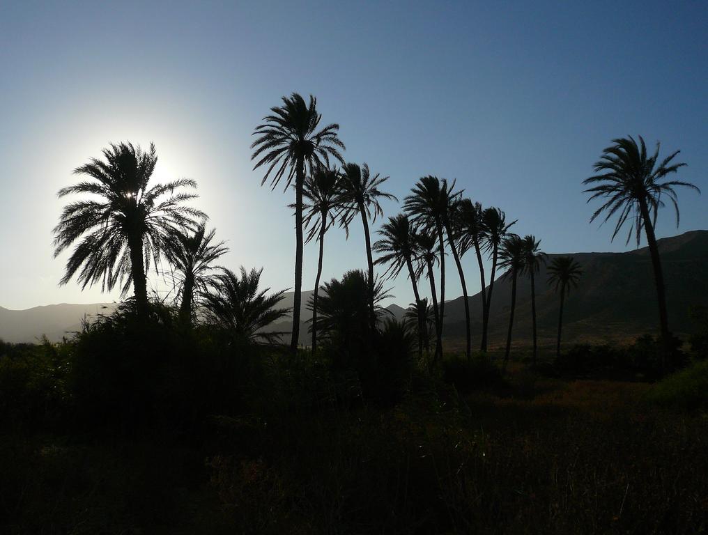 La Posidonia Daire Rodalquilar Dış mekan fotoğraf