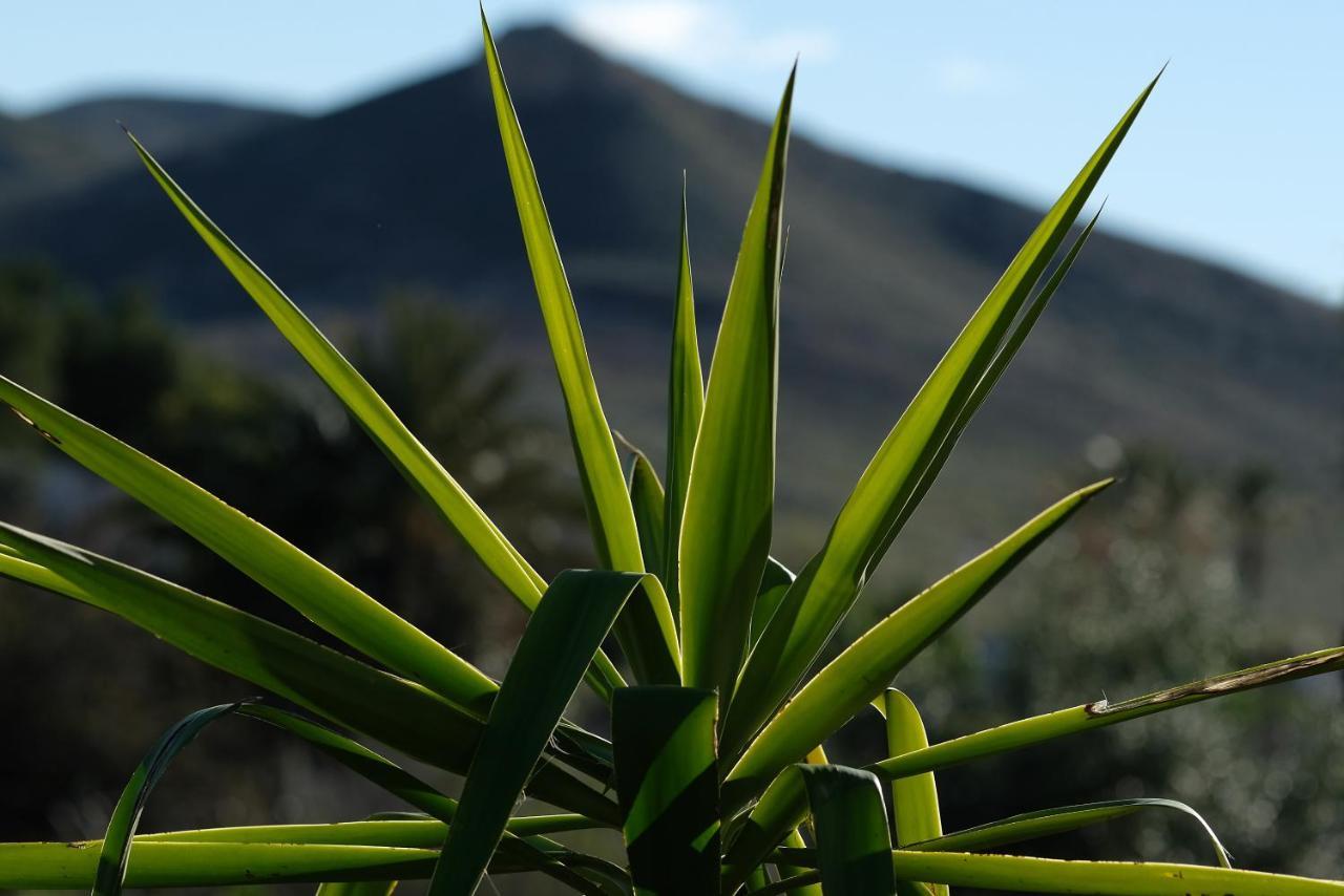 La Posidonia Daire Rodalquilar Dış mekan fotoğraf